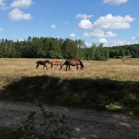 Wrzosowe Wzgorze - Dom Nad Jeziorem 別荘 *