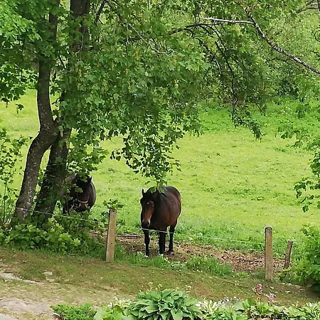 別荘 Wrzosowe Wzgorze - Dom Nad Jeziorem *