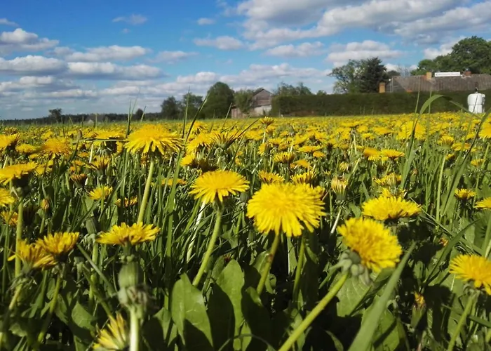 Wrzosowe Wzgórze - Dom Nad Jeziorem Kłączno *