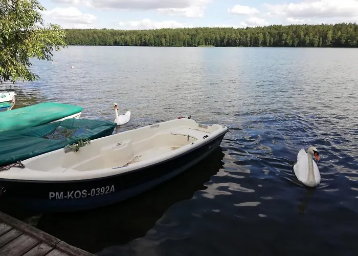 Wrzosowe Wzgórze - Dom Nad Jeziorem Kłączno