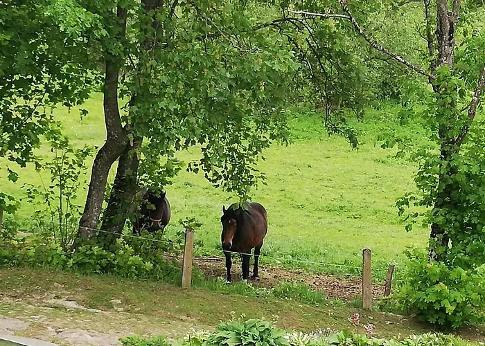 Сasa de vacaciones Wrzosowe Wzgórze - Dom Nad Jeziorem Kłączno *